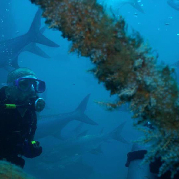 Buceo en Veracruz